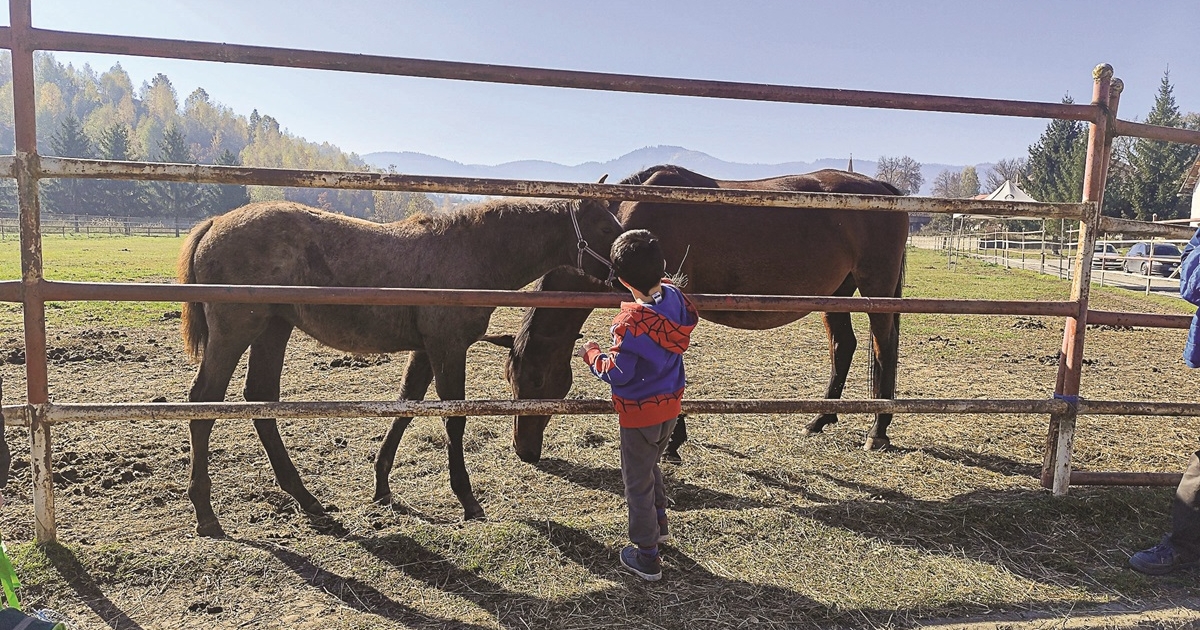 Vizsgálják az állományt